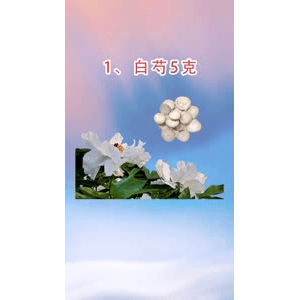 健康养生2157