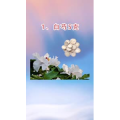 健康养生2157