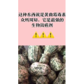 健康养生2190
