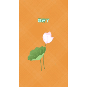 健康养生2241