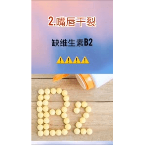 健康养生2303