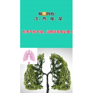 健康养生2322
