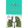 健康养生2322