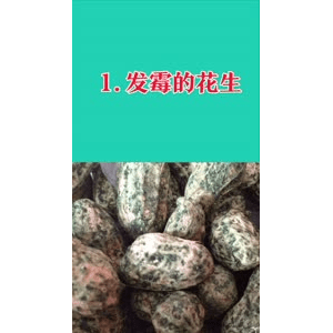 健康养生2394
