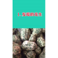 健康养生2394