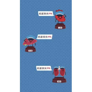健康养生2445