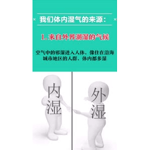 健康养生2453