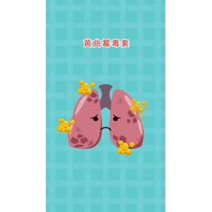 健康养生2473