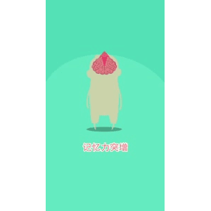 健康养生2502