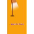 健康养生2632