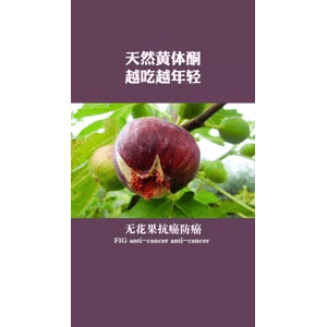 健康养生2808