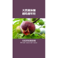 健康养生2808