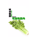 健康养生2829