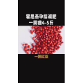健康养生2835