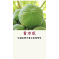健康养生2867