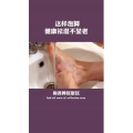 健康养生2897