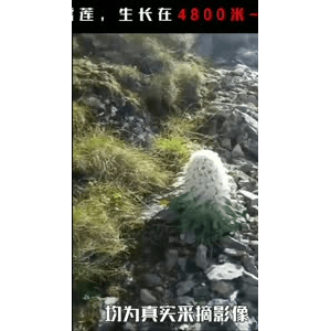 健康养生2919