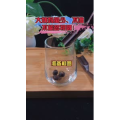 健康养生2936