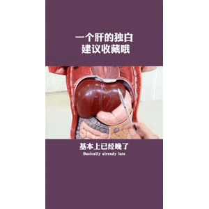健康养生2970