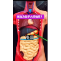 健康养生3067