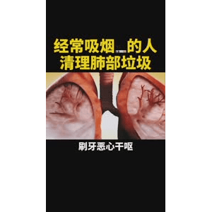 健康养生3087