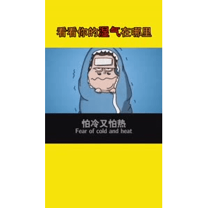 健康养生3179