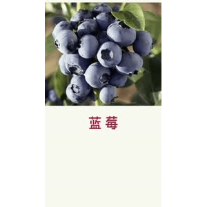 健康养生3200