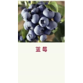 健康养生3200