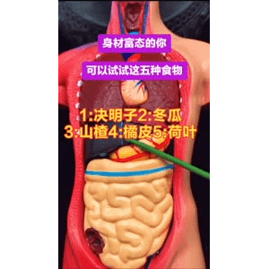 健康养生3237