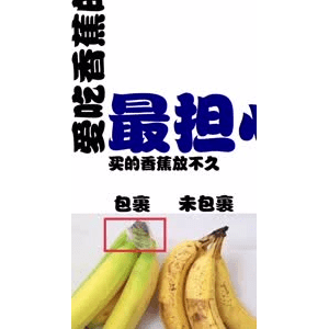 健康养生3243