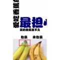 健康养生3243