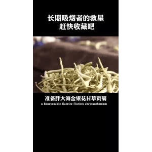 健康养生3268