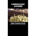 健康养生3268