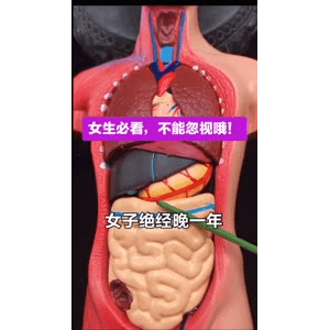 健康养生3288
