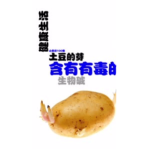 健康养生3307