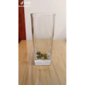 健康养生3548