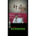 健康养生3558