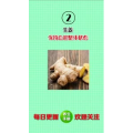 健康养生3577