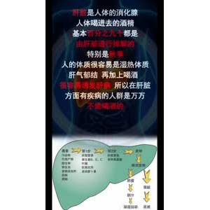 健康养生3581