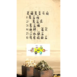 健康养生3587