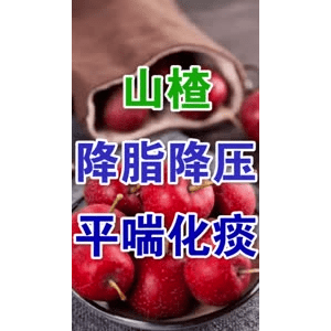 健康养生3596