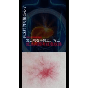 健康养生3601