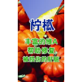 健康养生3621