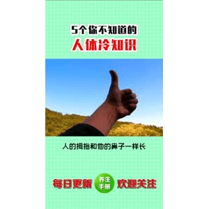 健康养生3632
