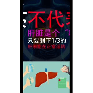 健康养生3642
