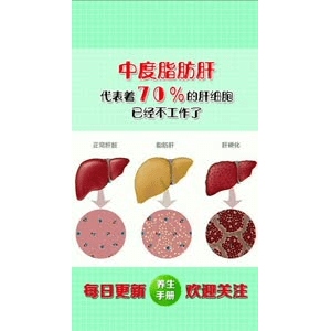 健康养生3677