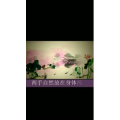 健康养生3679
