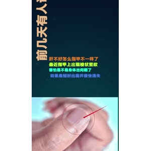 健康养生3685