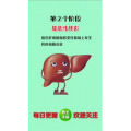 健康养生3697
