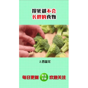 健康养生3727